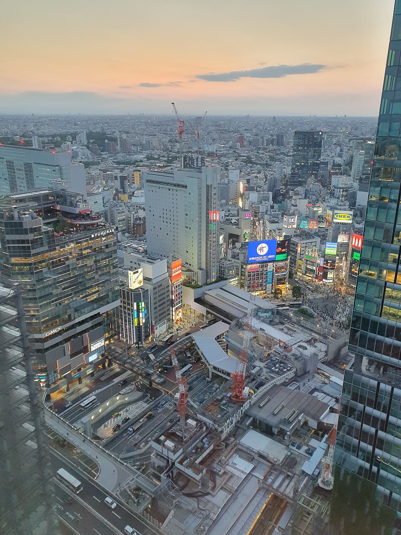 涩谷